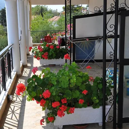 Europe Apartamento